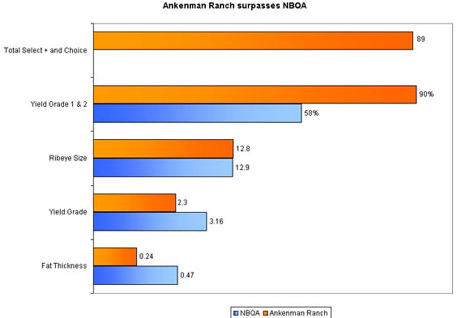 Ankenman Tarentaise Vs. NBQA